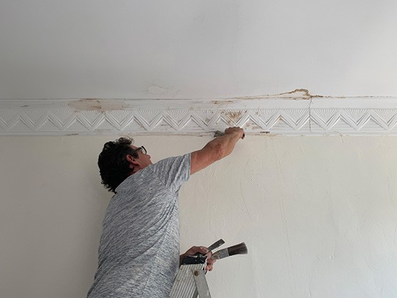 water damaged ceiling and cornice 